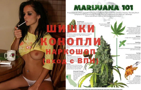 эйфоретик Алзамай