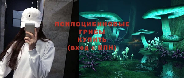 эйфоретик Алзамай